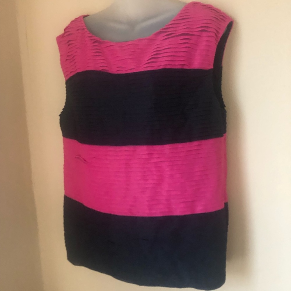 Ann Taylor Striped Navy And Pink Sleeveless Blouse